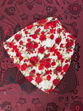 Ark & Co White Skirt with Red Rose Print